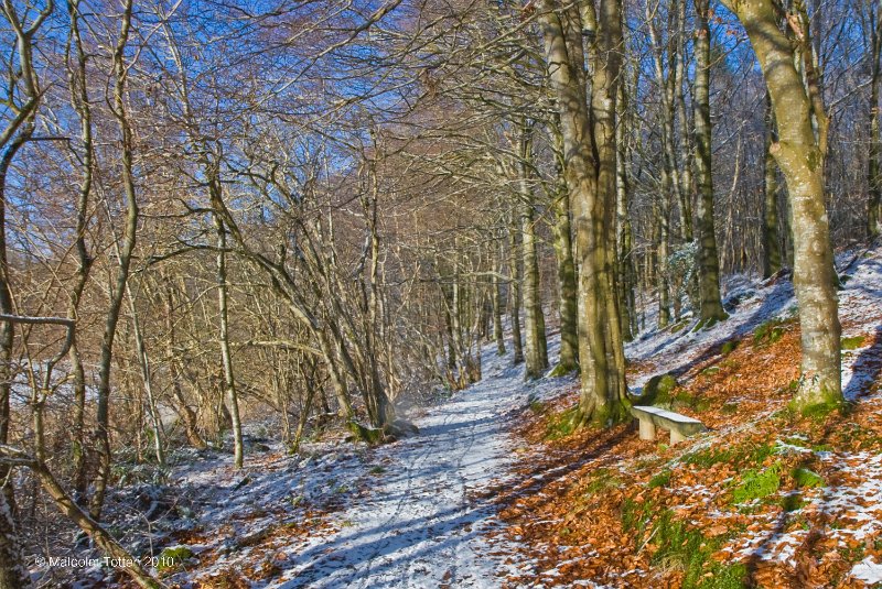 23. Rossmore in winter - Snowy path at Priestfield.jpg